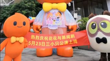 淘小宝千里奔赴 背后原因令花暖心