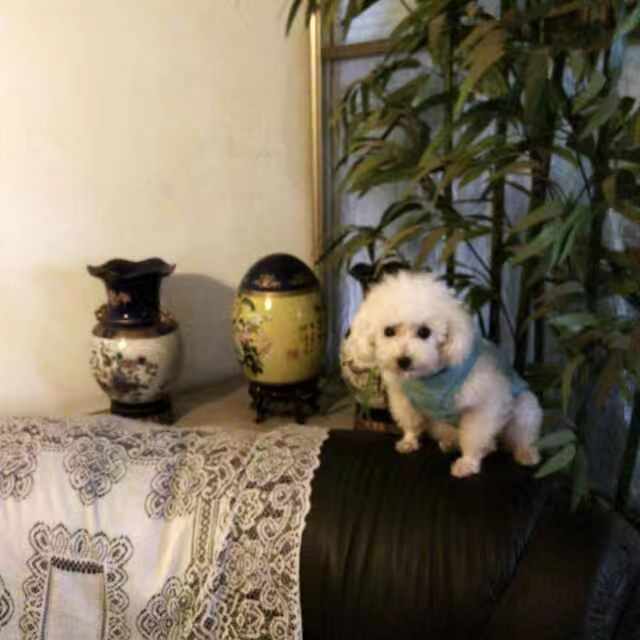 加油!截图