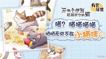 社区活动丨喵？喵喵喵喵！晒晒无处不在小猫咪 ฅ