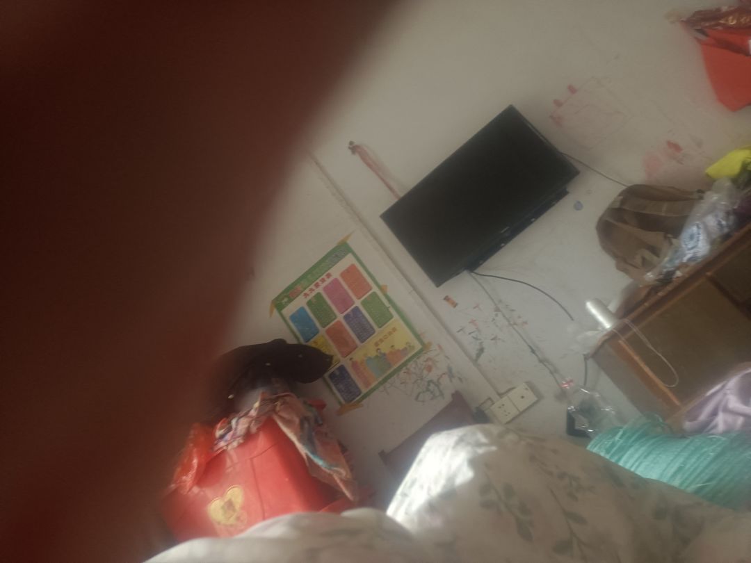 动态图片 18