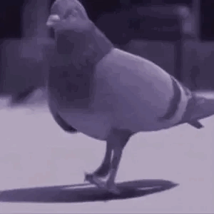 来互相助力 1