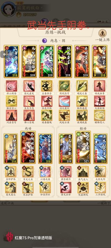 武当至青云阴拳搭配. 秋白出品