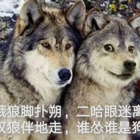 80出金都进来 1