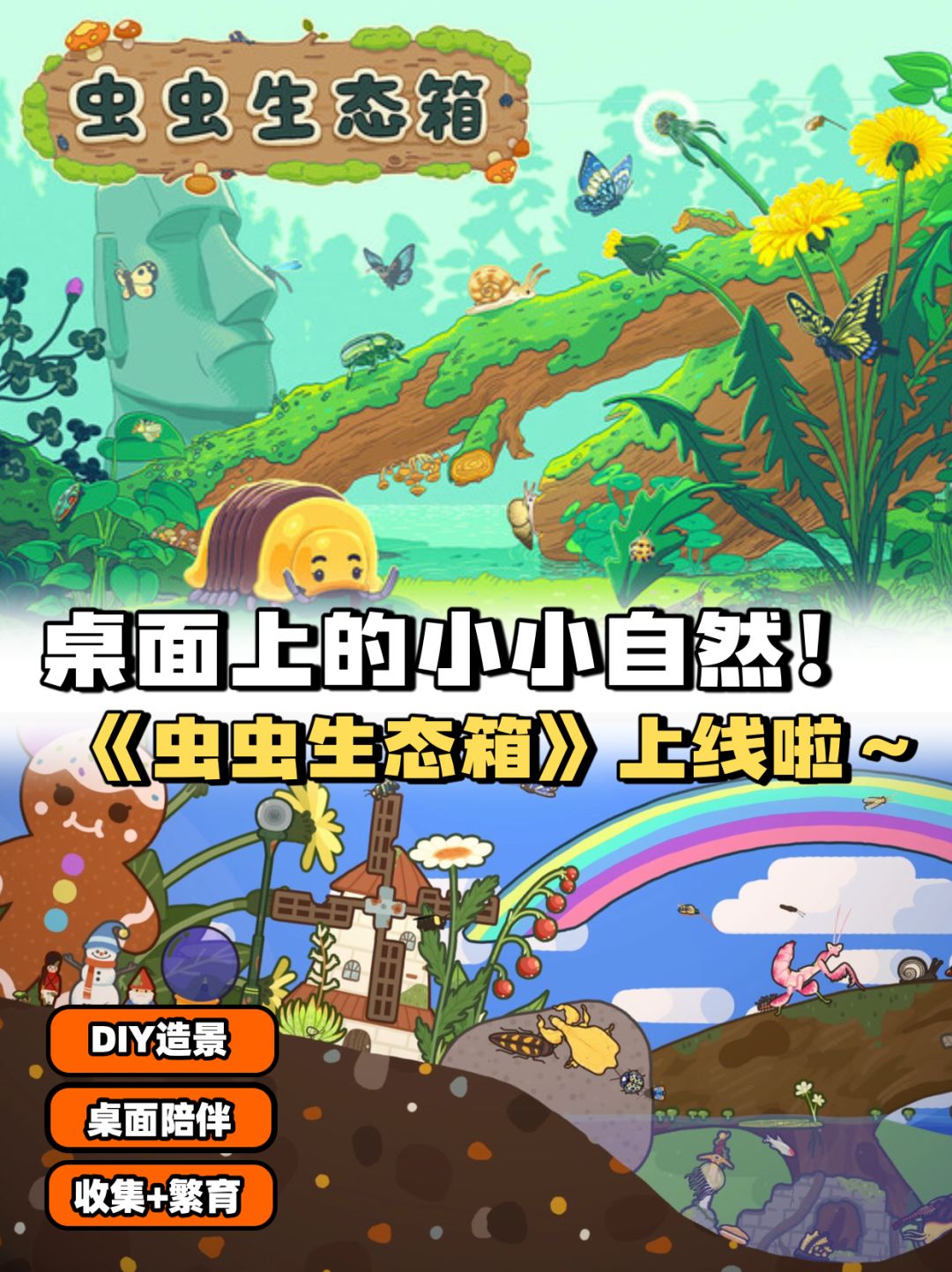 🐛 小小虫虫,大大治愈!《虫虫生态箱》 1