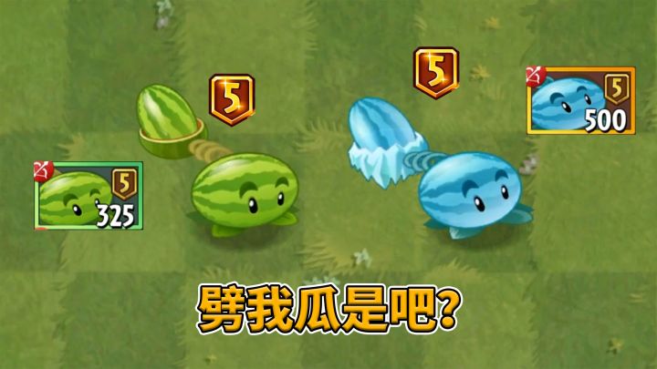 植物大战僵尸2:都是西瓜,冰西瓜和西瓜的差距有多大?截图