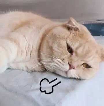 sl装备的淬炼序列到底是怎么操作的呢截图