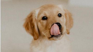 魅魔成长史—最终贴