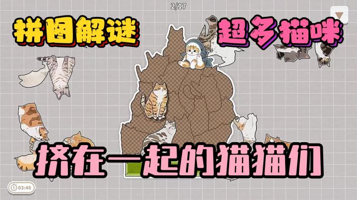铲屎官狂喜!猫咪解谜游戏,让猫咪挤在一起!截图