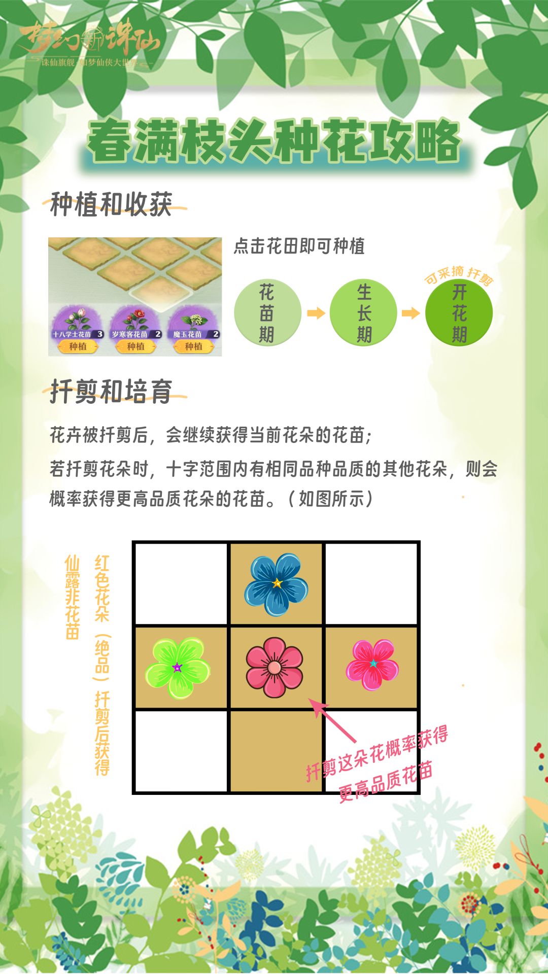 春满枝头种花攻略 2