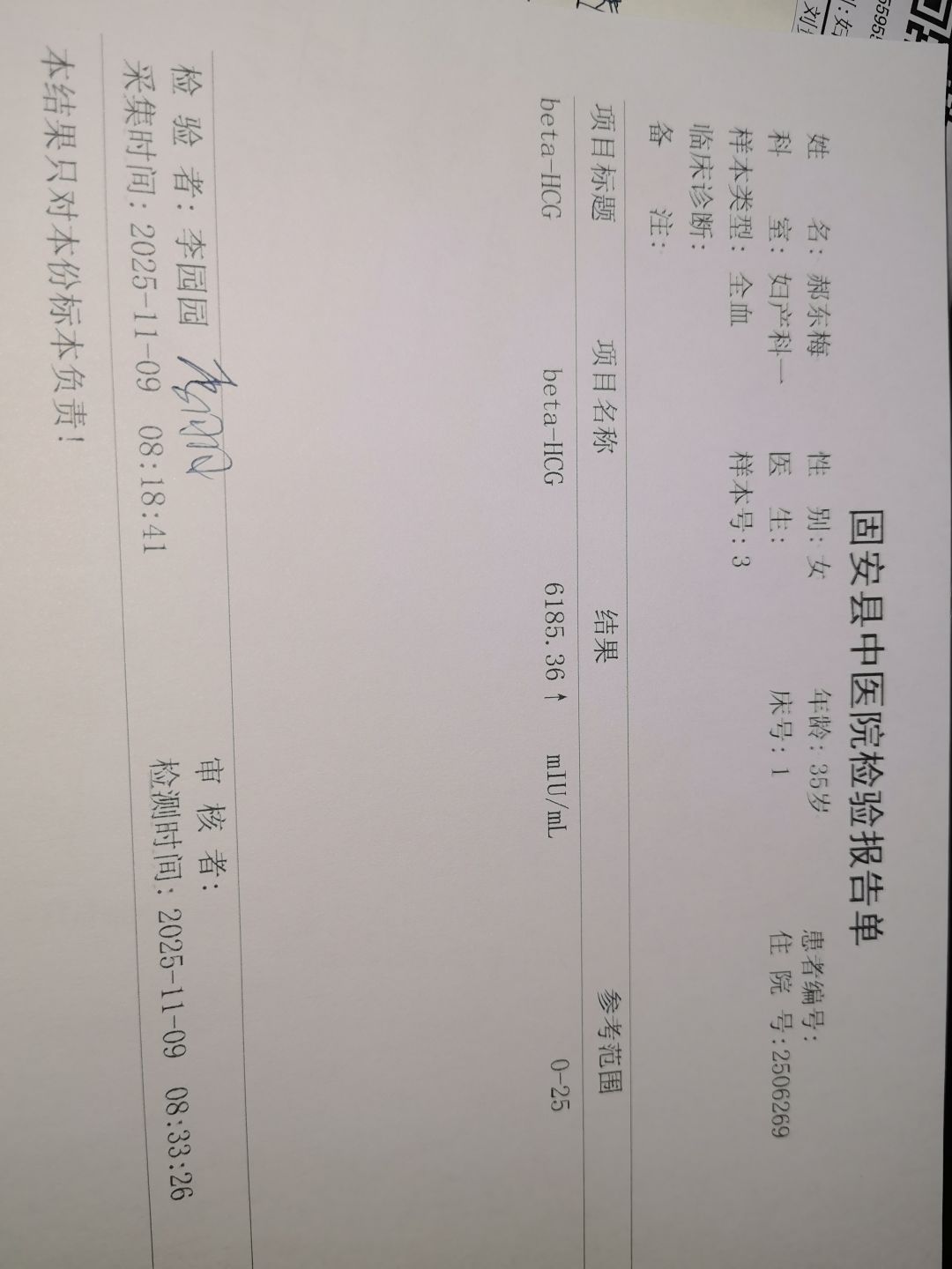 动态图片 10