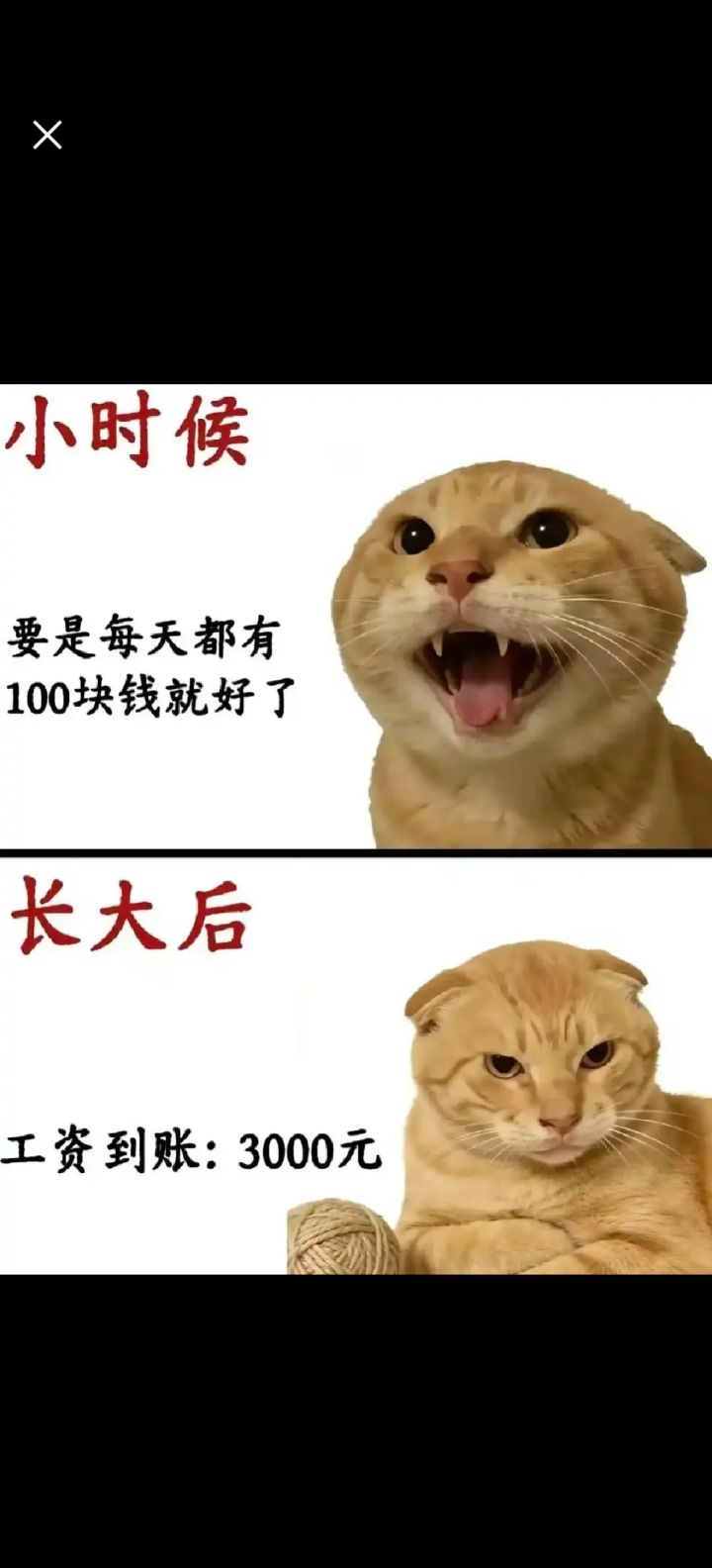 更新角色被砍没有补偿吗?截图
