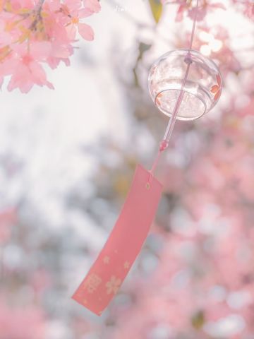 首先在这里唠几句