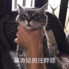 【数值向】测试一（防御/攻击/技能固伤）