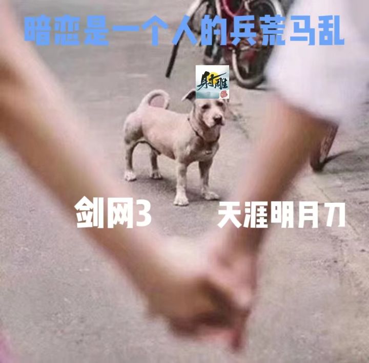 九名!猪碎掉了截图