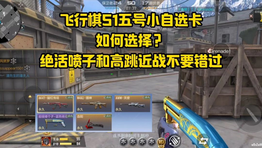 video-4800883