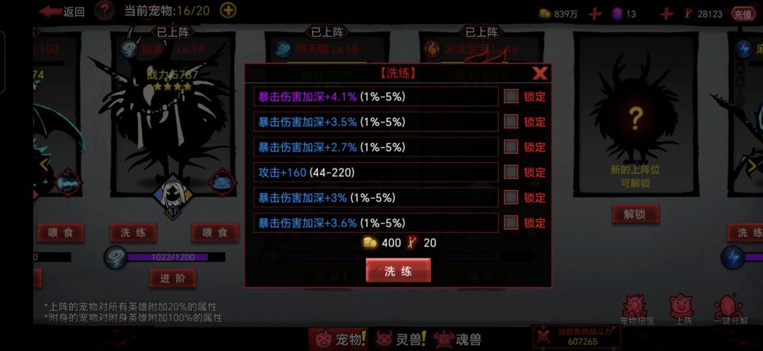 宠物洗练 1