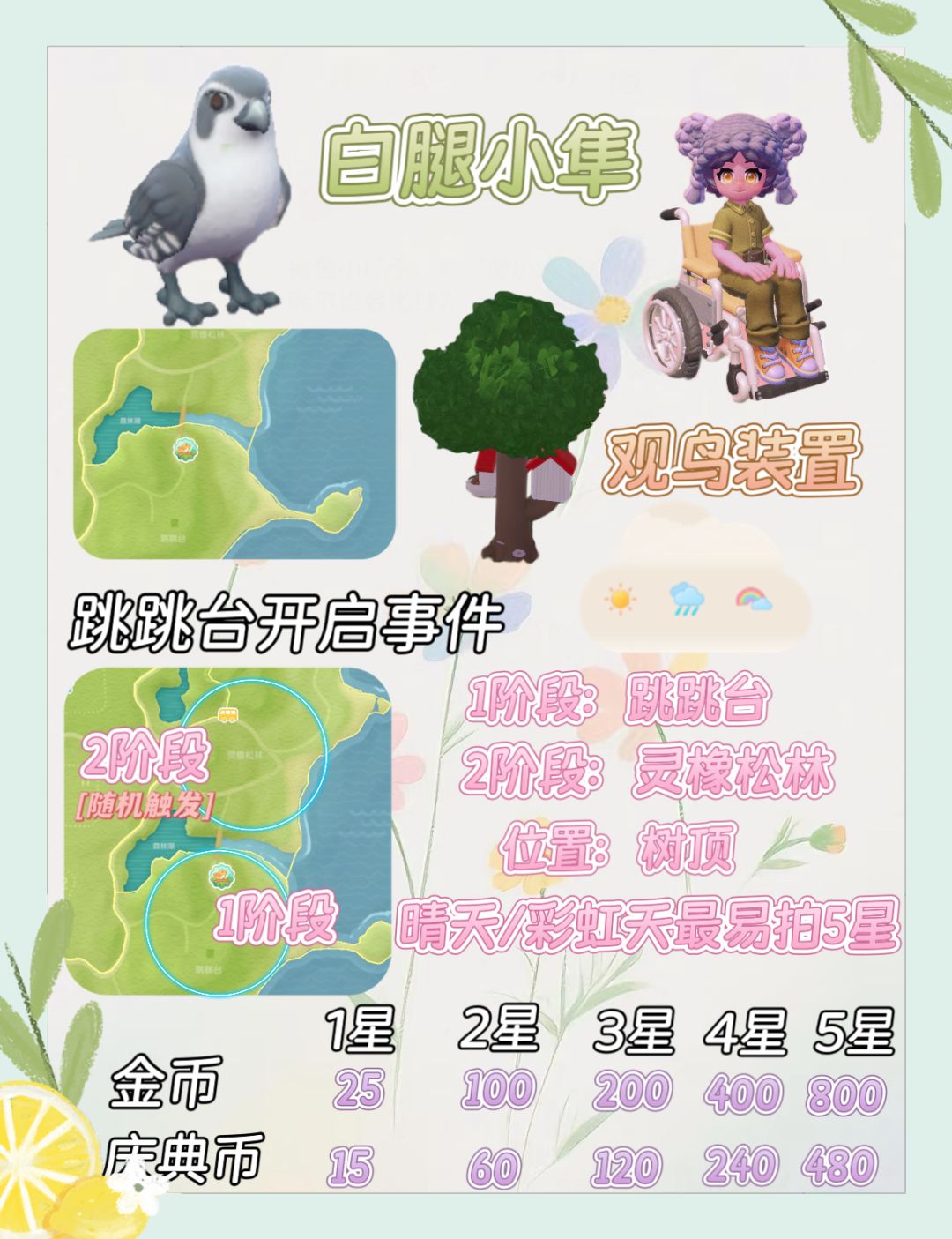 新邻季第三周捕虫和观鸟 2