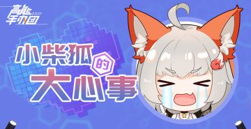 [关于非法解包泄密声明]