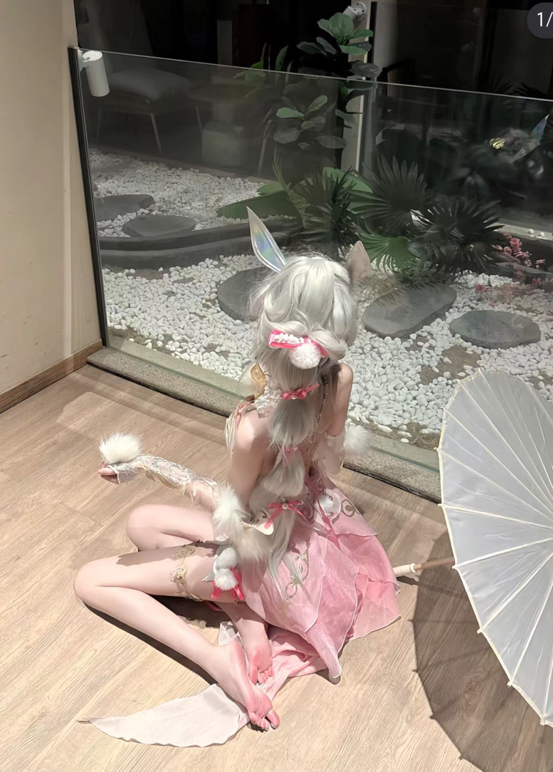 我的武魂是兔,小白兔 1