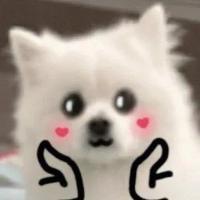 从奇游搬运了几个问题解决方法，友友们看看