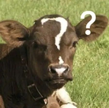 【求助】弃牌堆小于多少摸完牌判游戏结束?截图