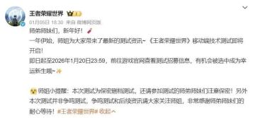 《王者荣耀世界》移动端技术测试招募开启🎉