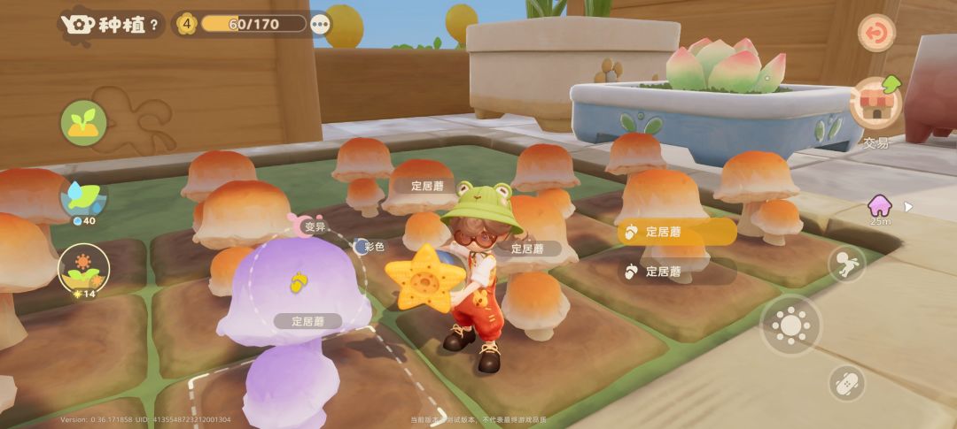 种植 2