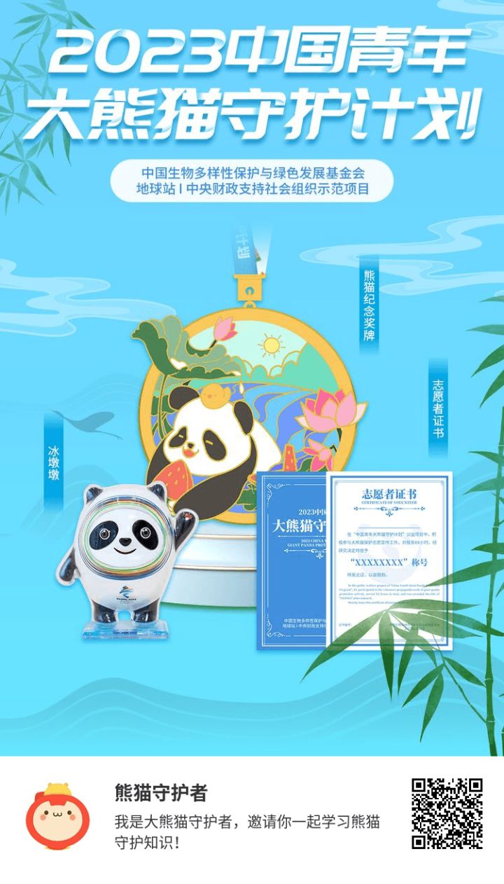 为中国大熊猫出一份力。截图