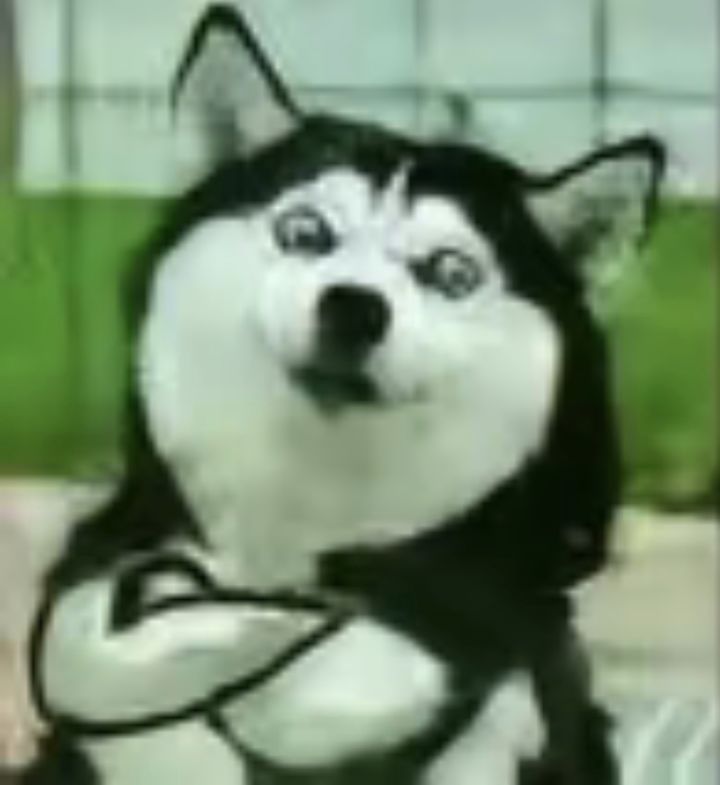 大佬们截图