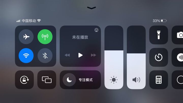 额，新紫皮bug截图