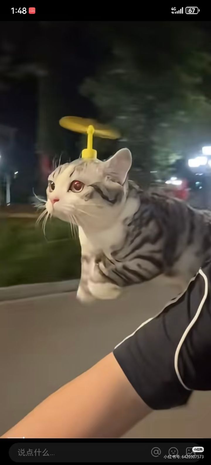 叮当猫叮叮当截图