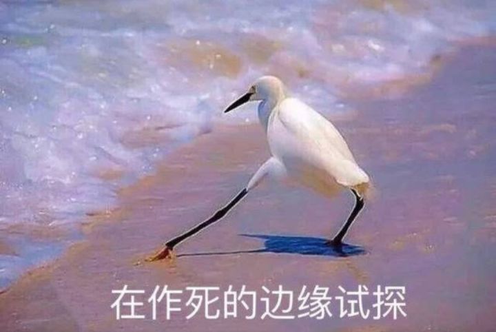 入坑三问截图