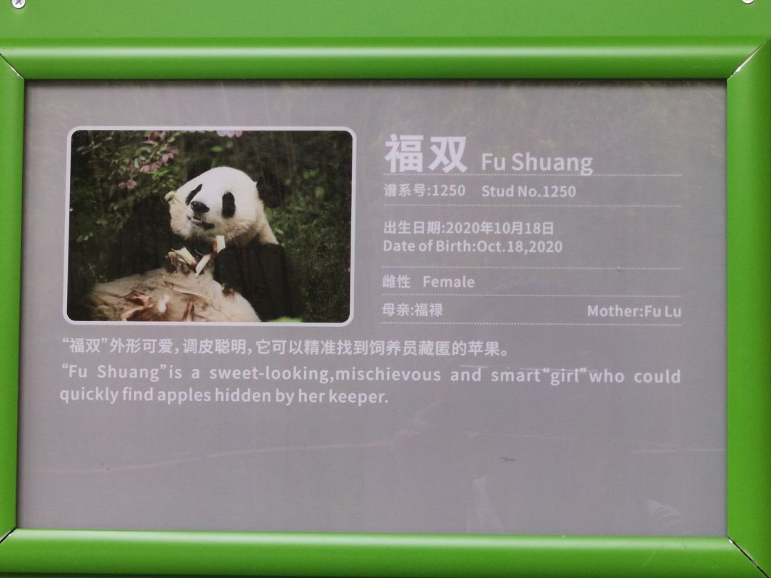 潮汐不倒,陪你到老 2