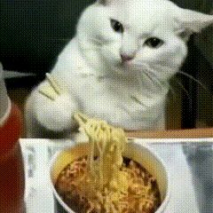 我觉得有什么建议就趁现在说