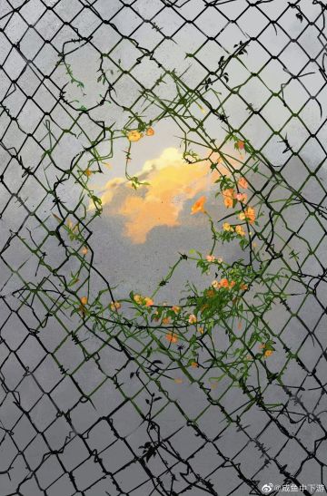 关于抑郁症治疗的误解