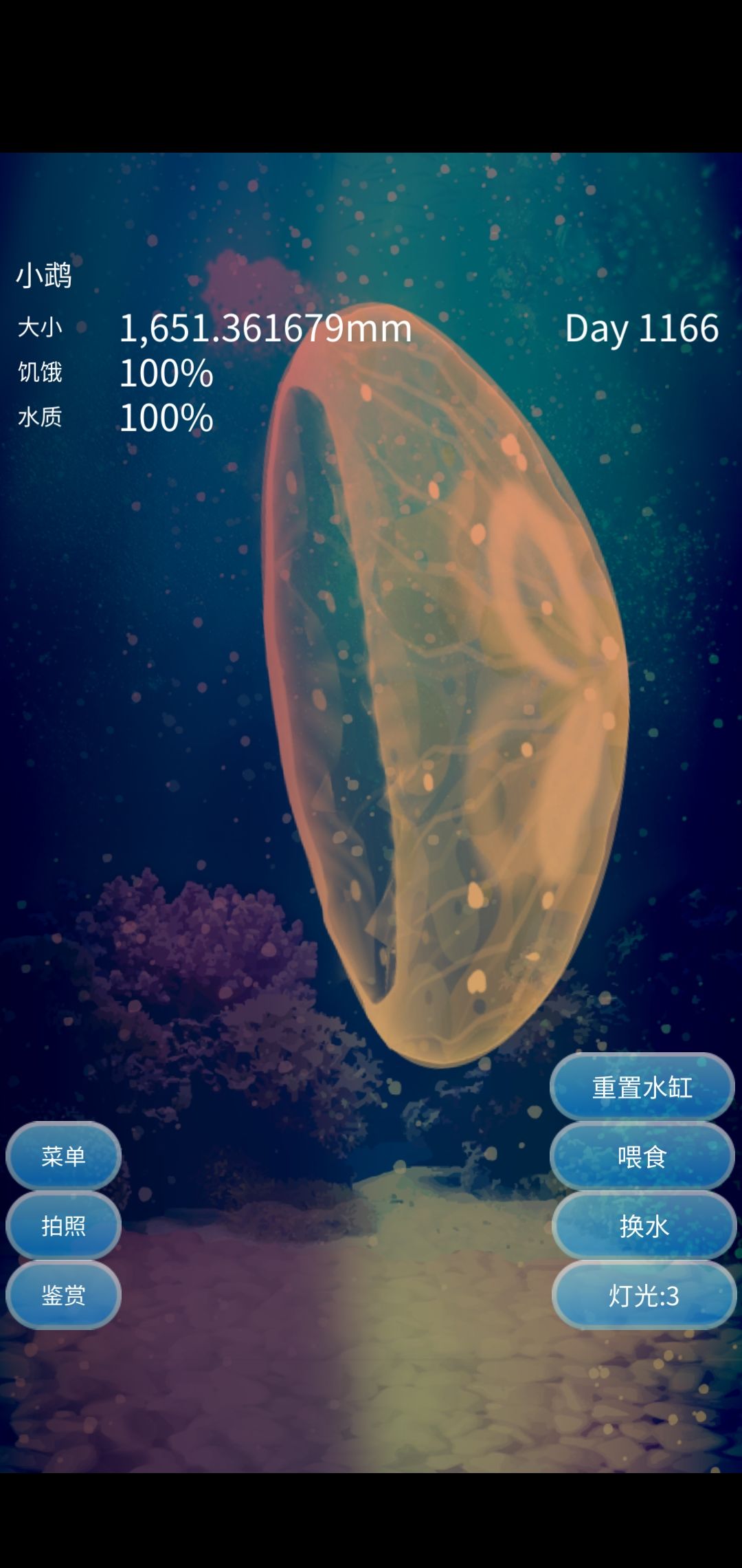 换了4个缸 4