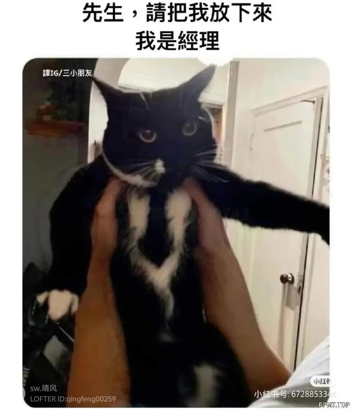 今天8周年bug了吗截图