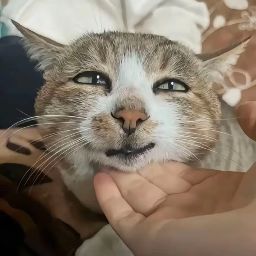 省流：看过风景后就想卸载的游戏截图