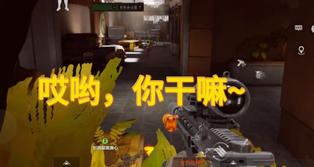 video-4945012
