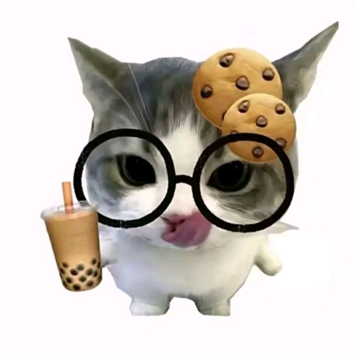 动态图片 14