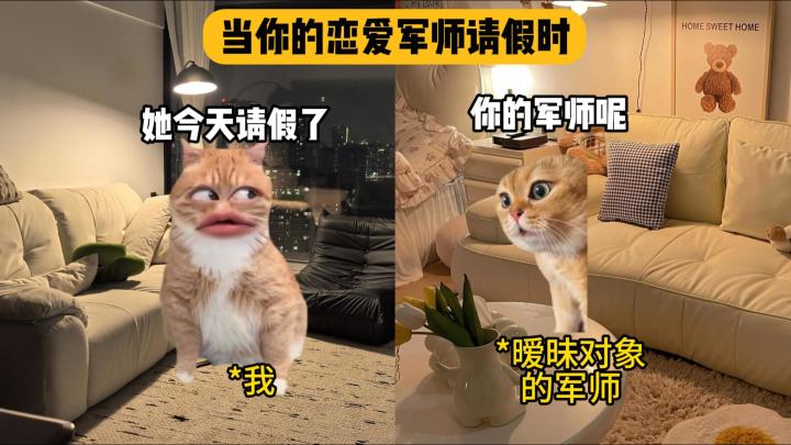 对方军师已失去所有手段截图