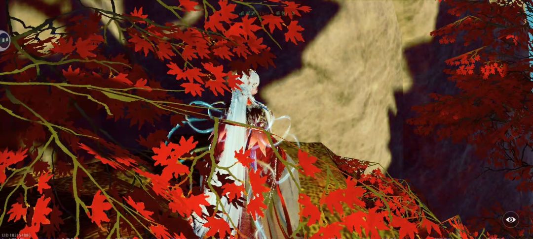 记:无龙套爬栖龙峰 1