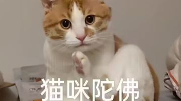 这新技能感觉🐶都嫌弃