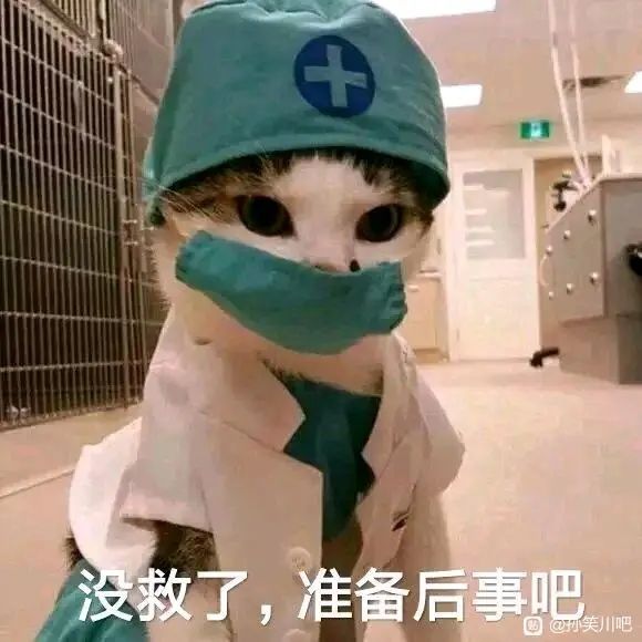 100抽没出关岛，就三个星座[表情_嫌弃]，魔方已经见底[表情_豹哭]，啊啊啊啊啊啊啊啊啊啊啊啊啊啊啊啊啊啊啊啊截图