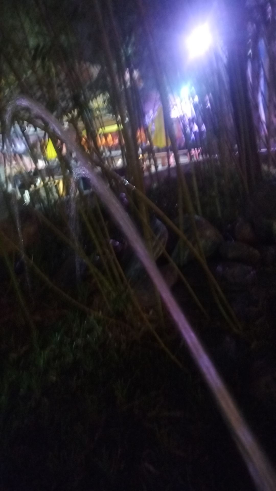 动态图片 15