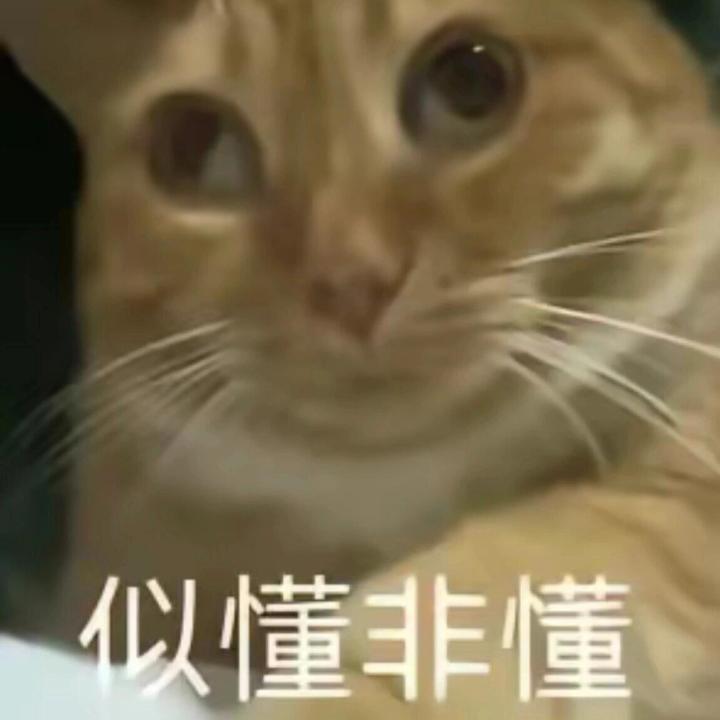 有必要换央蛮吗截图