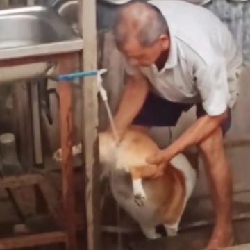 少前2入坑の心理辅导,看完可为您省一部手机