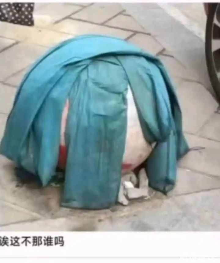 有没有回归宝宝截图
