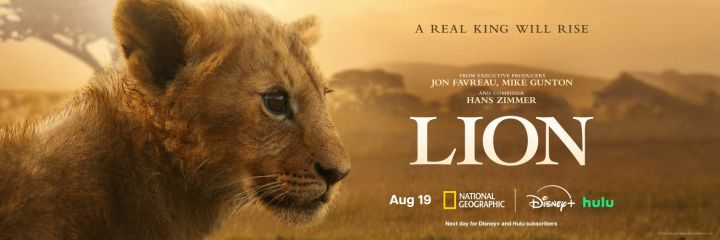 真·狮子王!国家地理纪录片《LION狮王》预告及幕后花絮截图