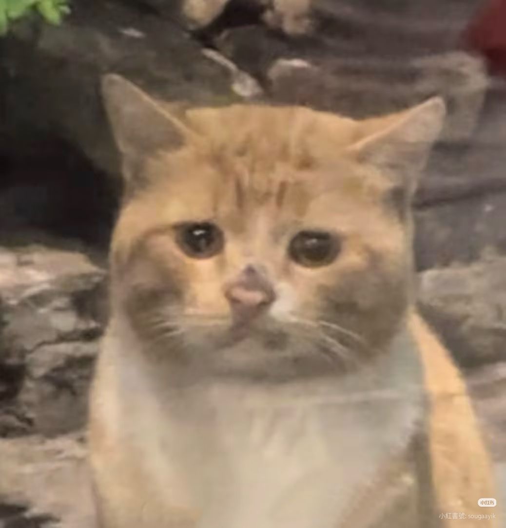 求助:如何解锁第八章青野原的记忆? 1